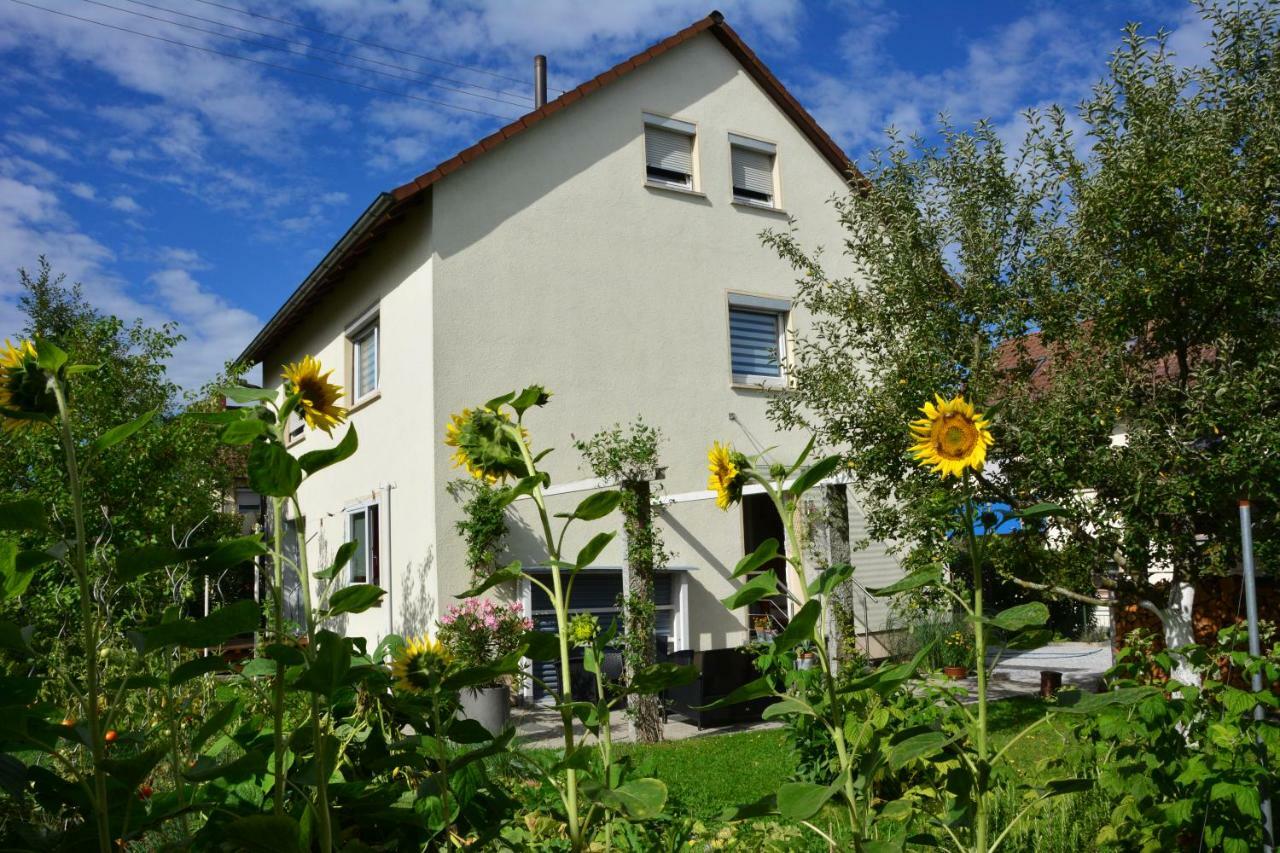 Ferienwohnung - Damisa House Metzingen  Buitenkant foto